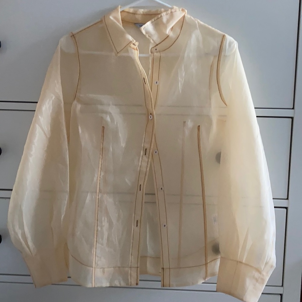 Naked Zebra Sheer Button Up Blouse